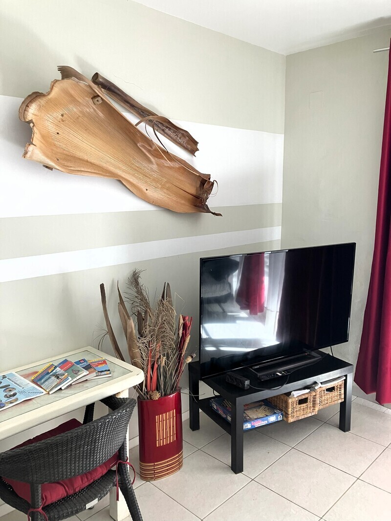 Living room with sofa, large smart TV and work desk.