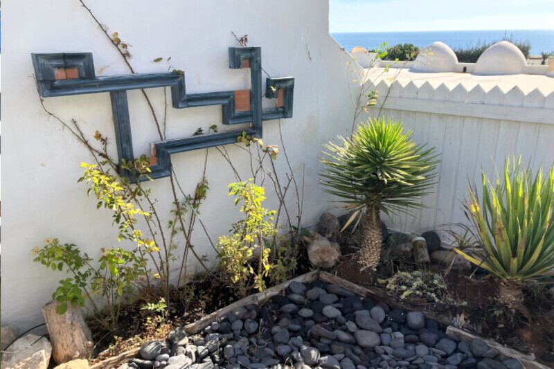 Garden with sun loungers